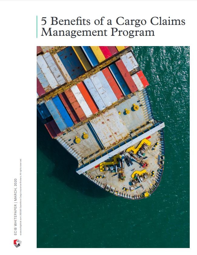 5 Benefits of a Claims Management Program Whitepaper